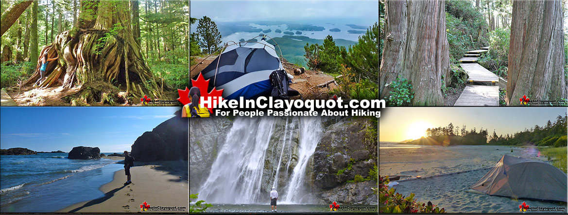 Hiking Trails Tofino, Ucluelet and Clayoquot Sound
