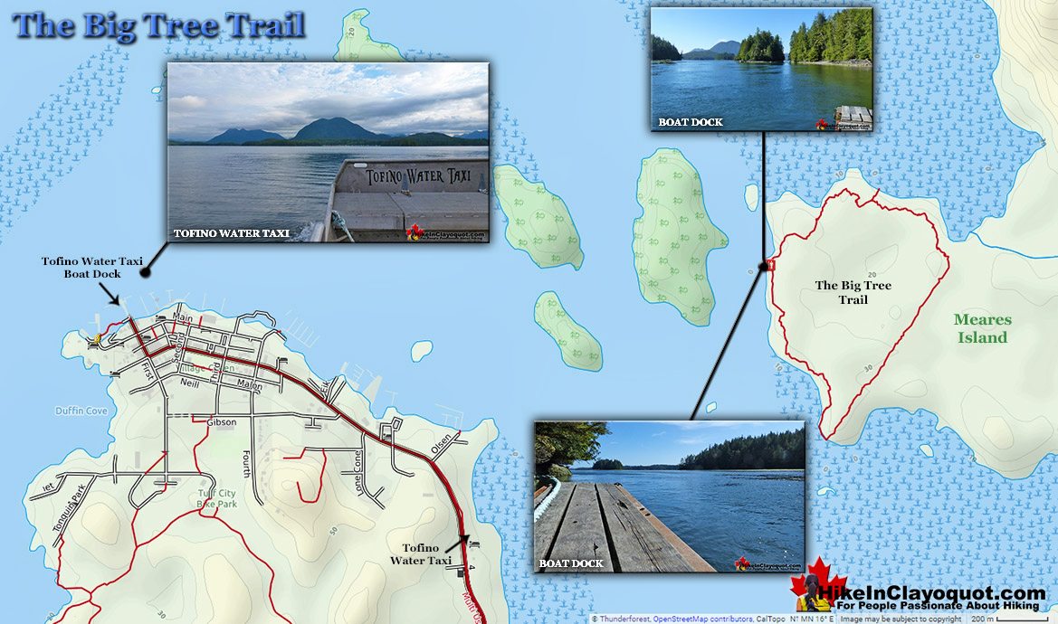 Big Tree Trail Directions Map v2a