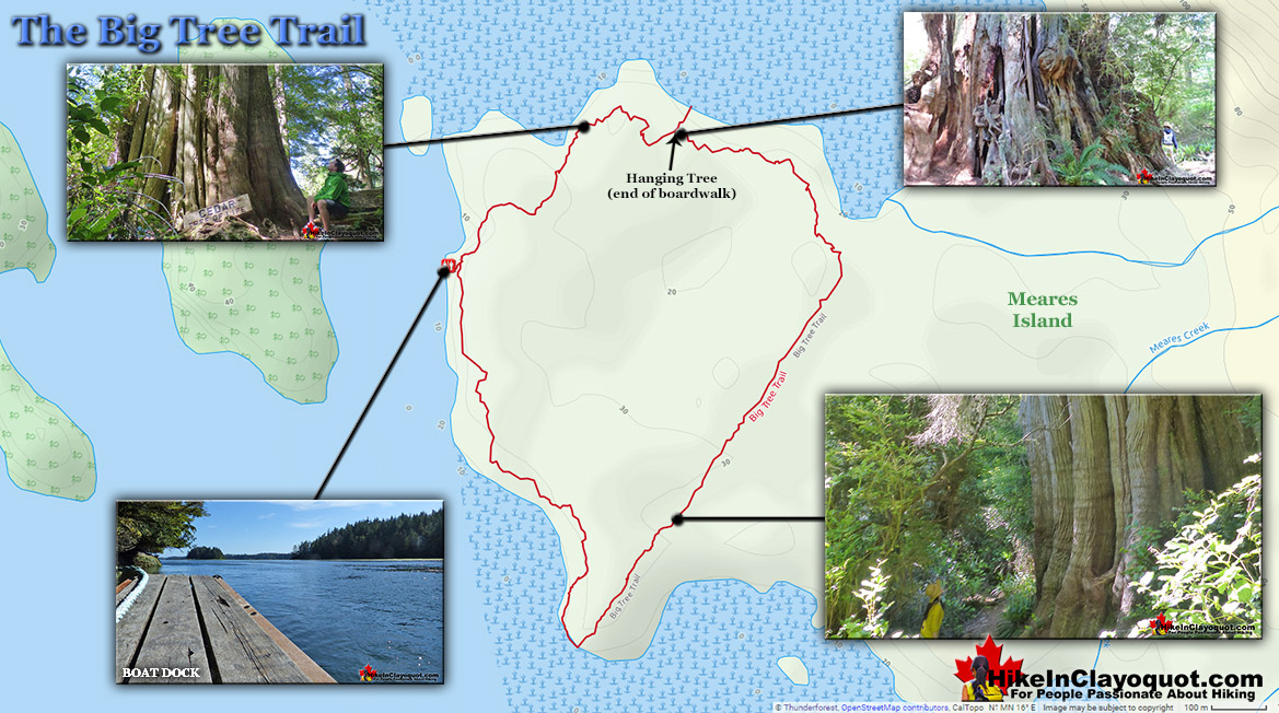 The Big Tree Trail Map