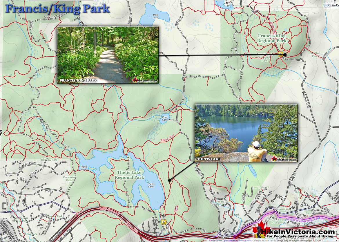 Francis/King Trail Map