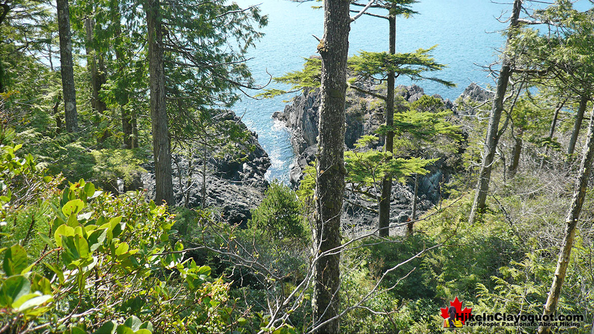 Hot Springs Cove Trail View