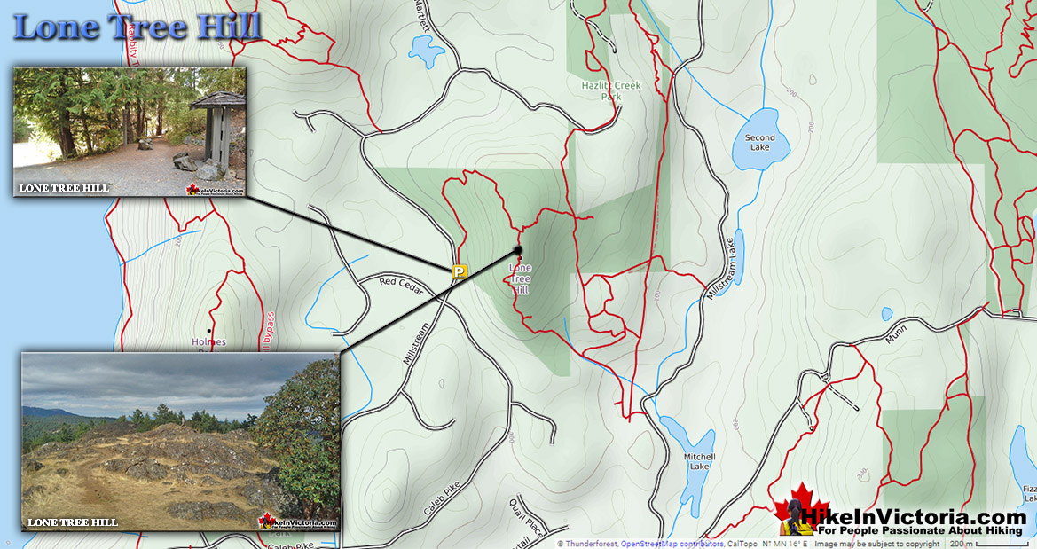 Lone Tree Hill Trail Map